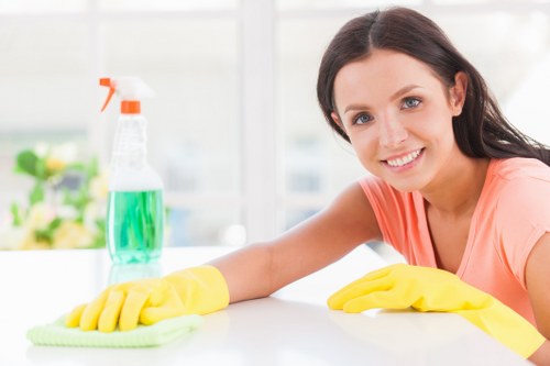 Professional steam carpet cleaning on a residential carpet