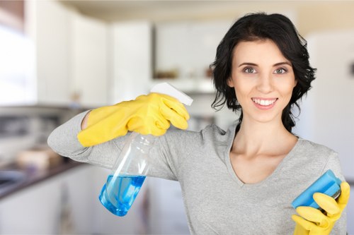 Pet stain odour removal cleaning carpet with treatment spray