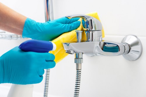 Odour removal treatment for pet stains on furniture and rugs