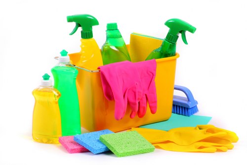 Enzymatic cleaner used for removing pet odours from upholstery